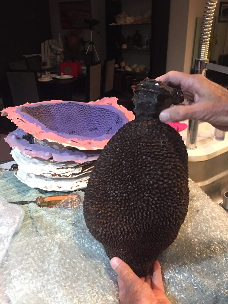 Jackfruit Heart